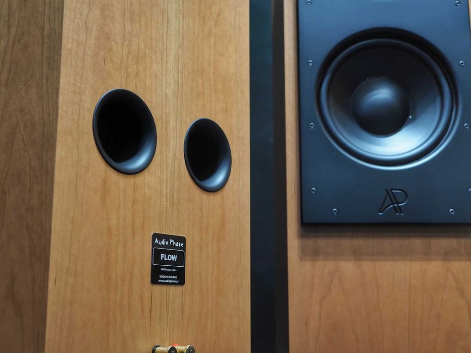 Kolumny AudioPhase FLOW - RATY 20 x 0% lub cena specjalna