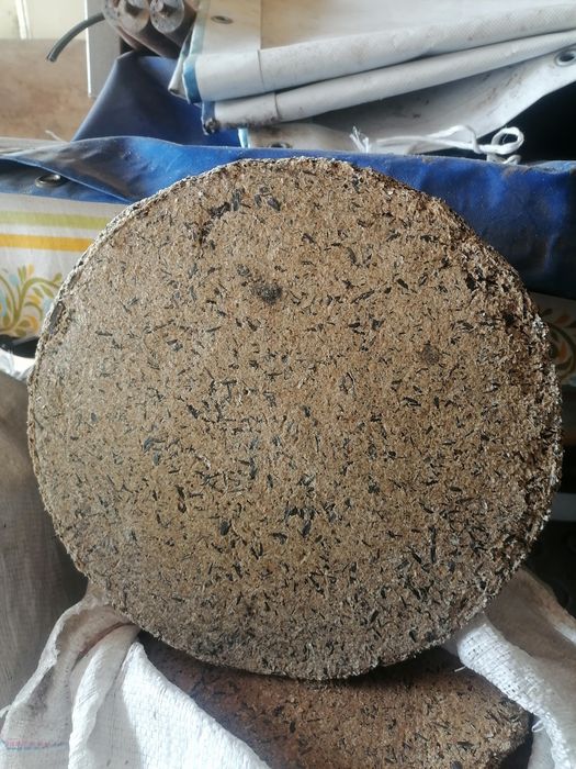 Продам макуху свижа