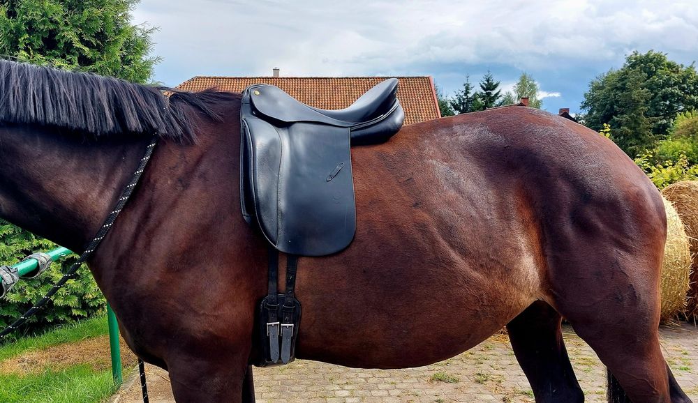 siodło ujeżdzeniowe Otto Schumacher Profi Dynamic E 17,5