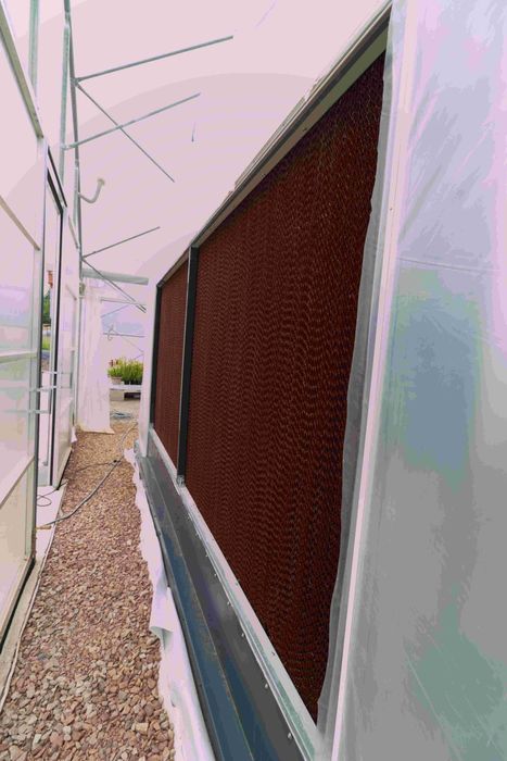 Ściana chłodząca do kurnika, szklarni pad cooling