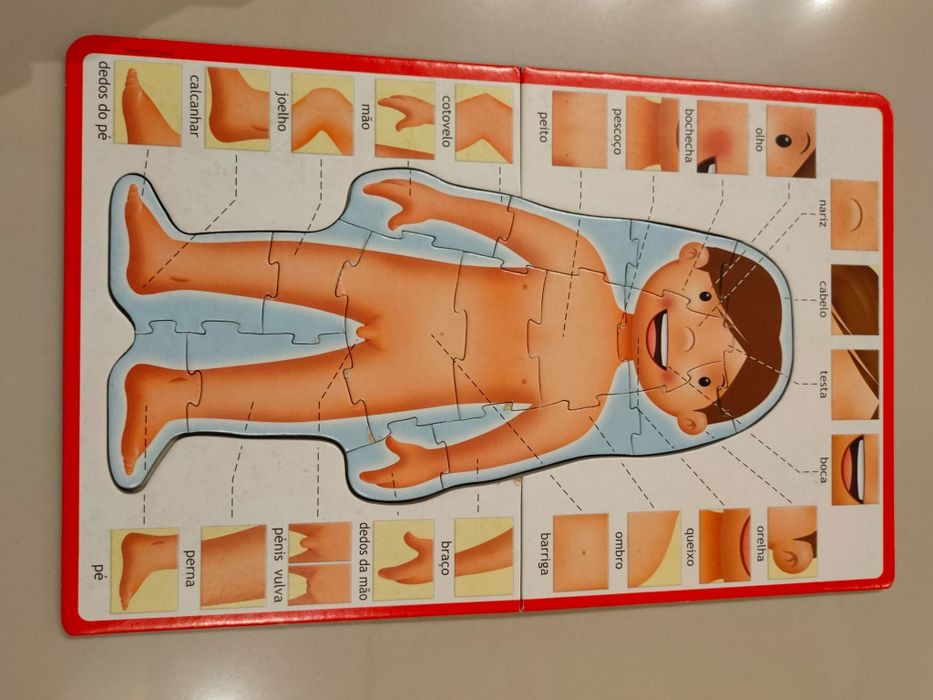 Brinquedo O Corpo Humano