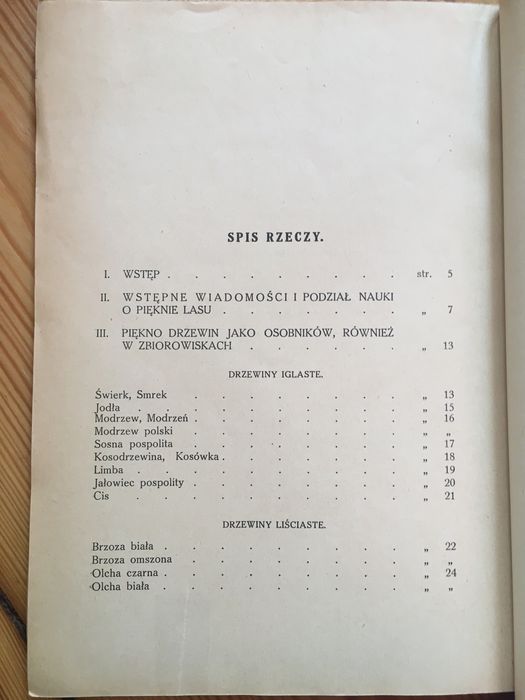 Estetyka lasu Karol Stieber 1929 leśnictwo