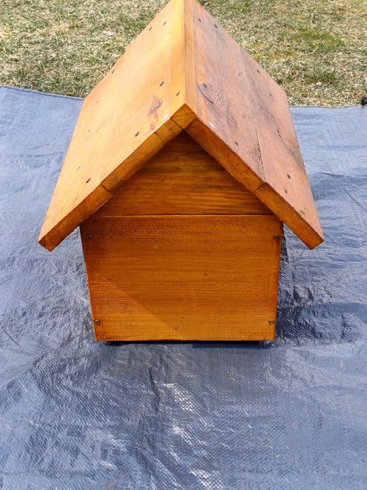 Buda / Domek dla kota