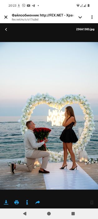 Предложение выйти замуж Освідчення Пропозиція руки та серця арка серце