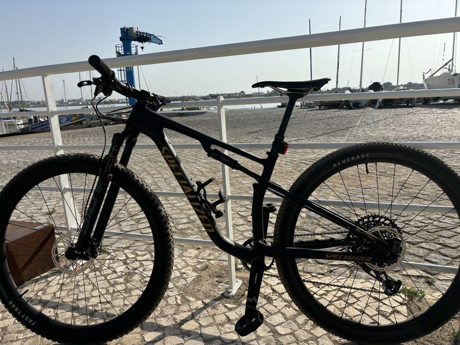 Specialized EPIC