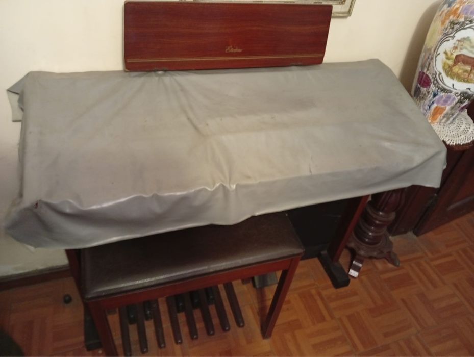 Orgao musical semi novo