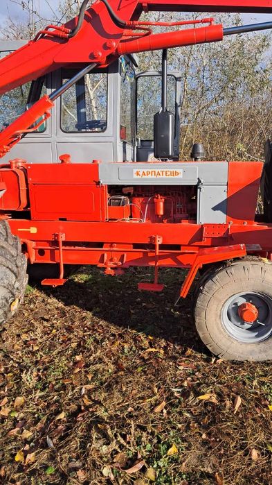 Продається карпатець