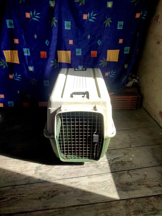 Savic transporter Feria Andes 6 na psa - Bardzo duży