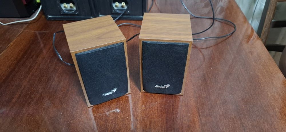 компьютерные колонки Genius SP-HF160