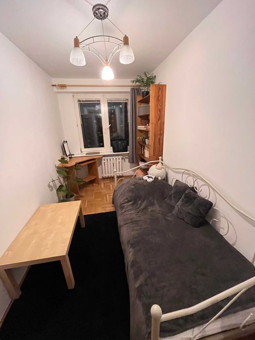 przestronne jasne 3 pokojowe w zielonej okolicy i dobrej lokalizacji na Czechowie niedaleko UM - Widok 4