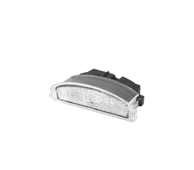 LUZ DE MATRÍCULA LED RENAULT TWINGO 07-14