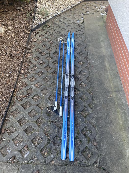 Narty biegowe firmy Madshus Touring