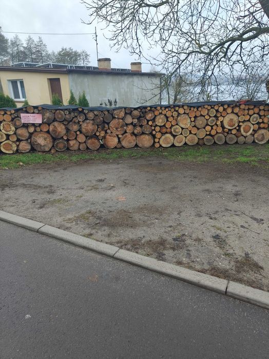 Sprzedam sosnę 200 zł za metr