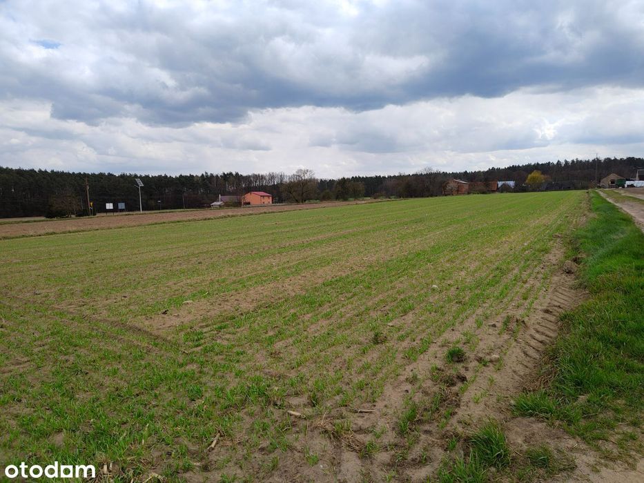 Sprzedam działki budowlane - Przedborów