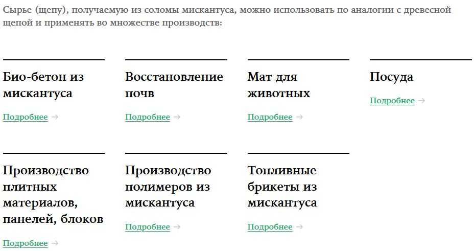 Мискантус Гигантский. MISCANTHUS GIGANTEUS, семена, корневища, ризомы.