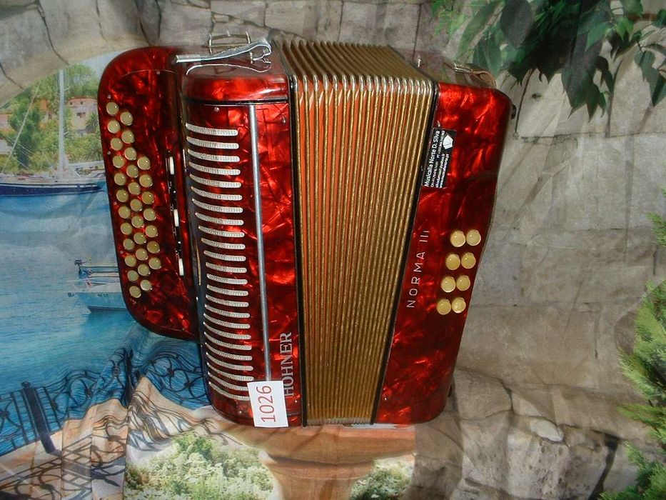 Promoção de Acordeões de concertinas