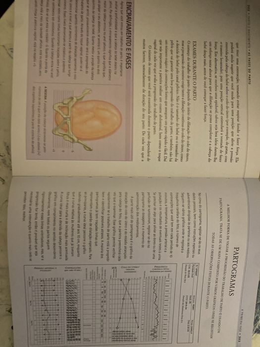 Livro: A sua gravidez semana a semana