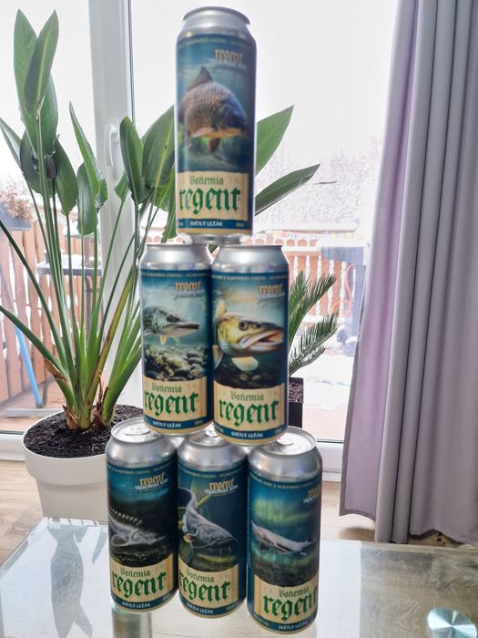 Piwo kolekcjonerskie Regent, Karp, Sum, Szczupak, Jesiotr, Sandacz