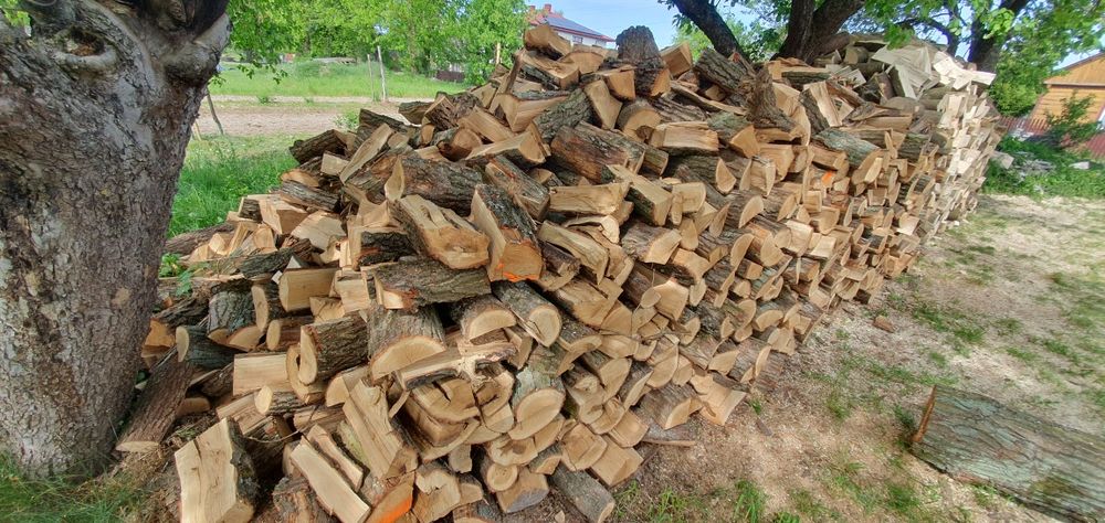 Drewno opałowe dąb-buk