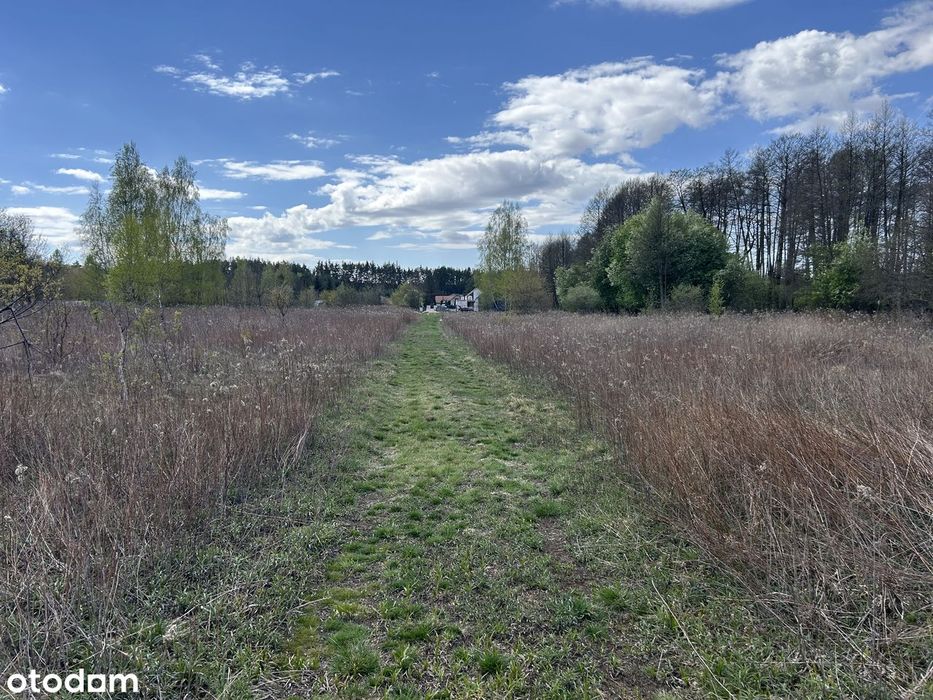 Działka rolna 4239 m² w okolicy Kampinosu - Widok 3