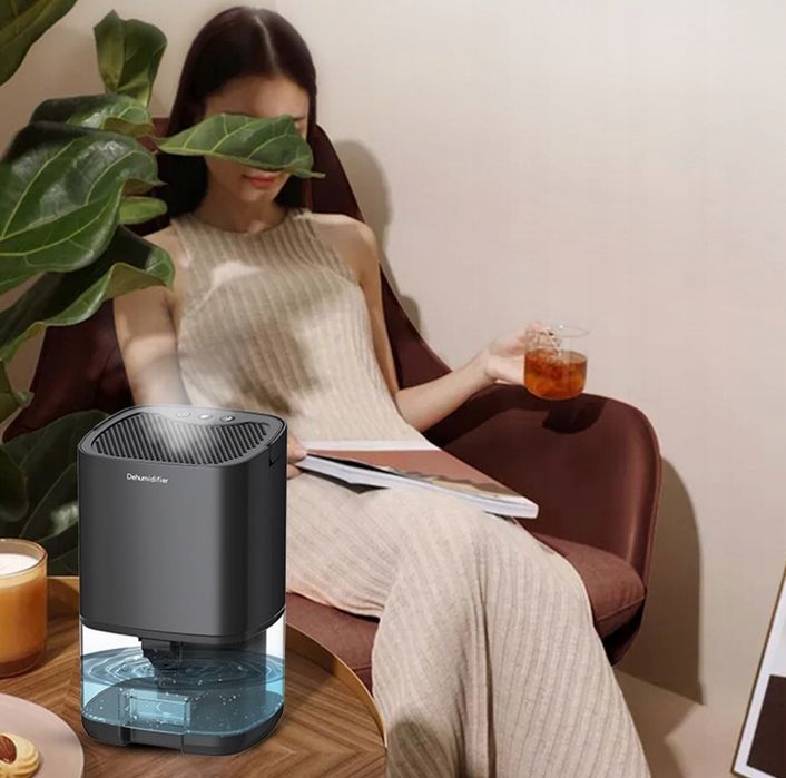 Elektryczny Osuszacz Powietrza Domowy Cichy 1000Ml Black