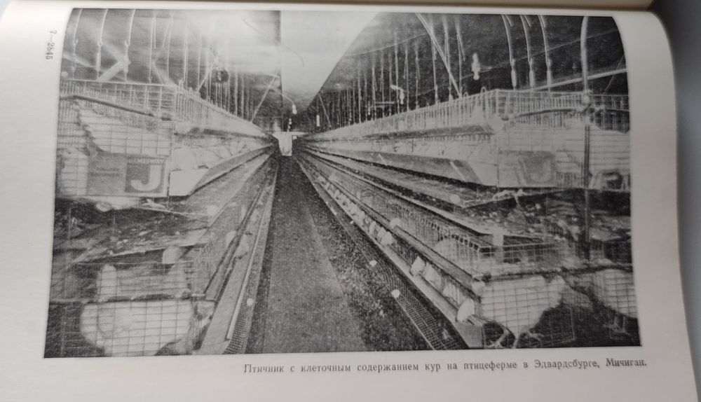 Книга 1965 года об организации производства бройлеров в США, экономика