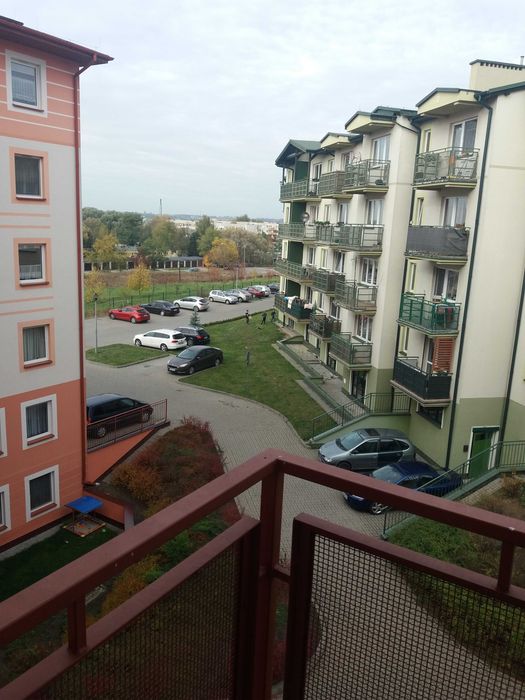mieszkanie do wynajęcia
