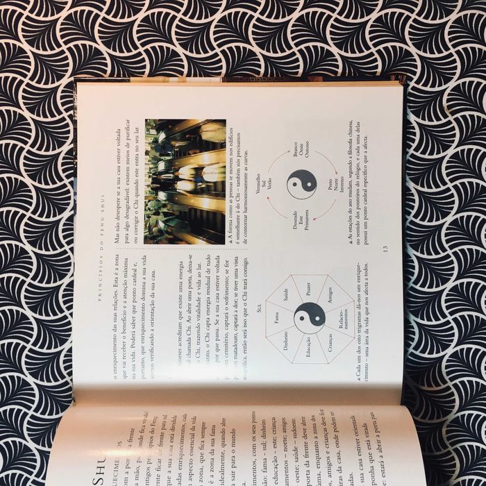 Feng Shui - Richard Craze