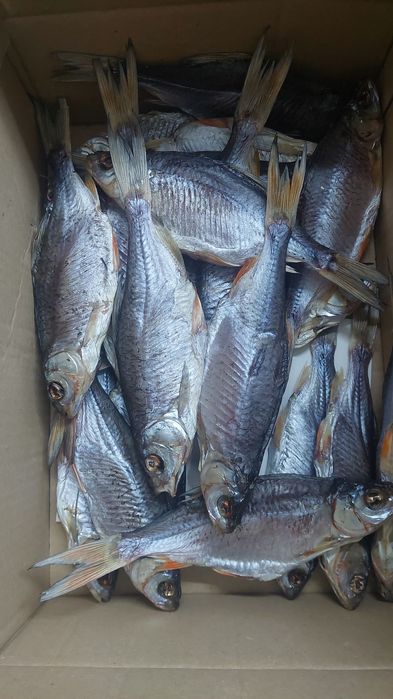 Продам тараньку плотву