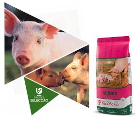 Rações milhos frangos coelhos porcos cabras poedeiras 5 e 25kg