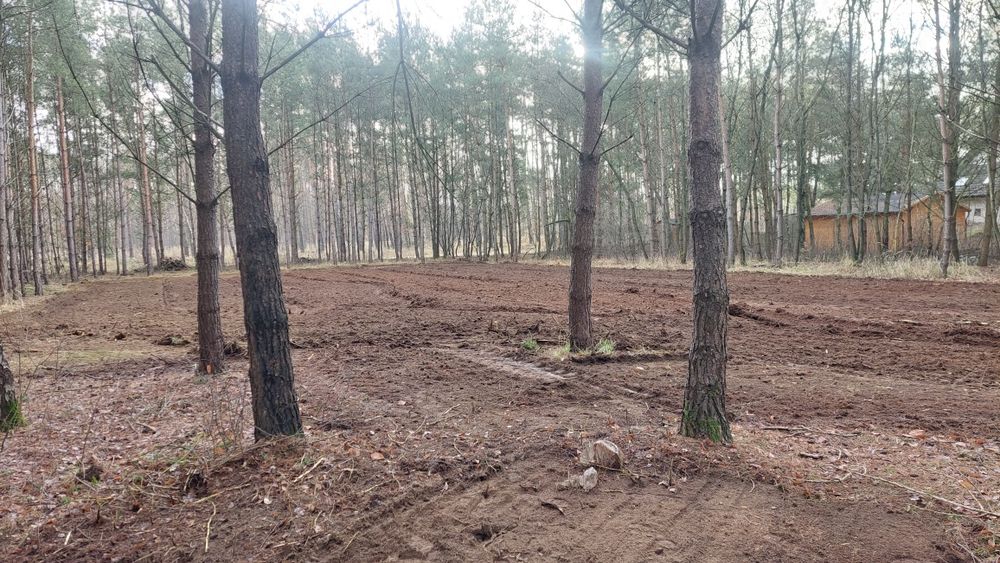 Wycinka drzew, mulczer, czyszczenie działek,  Karczowanie,
