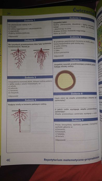 Repetytorium matematyczno-przyrodnicze dla liceum