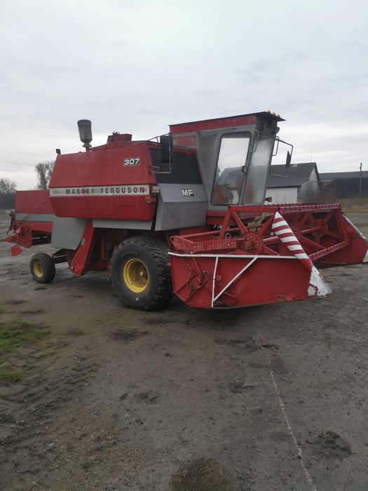 Масей Фергюсон 307