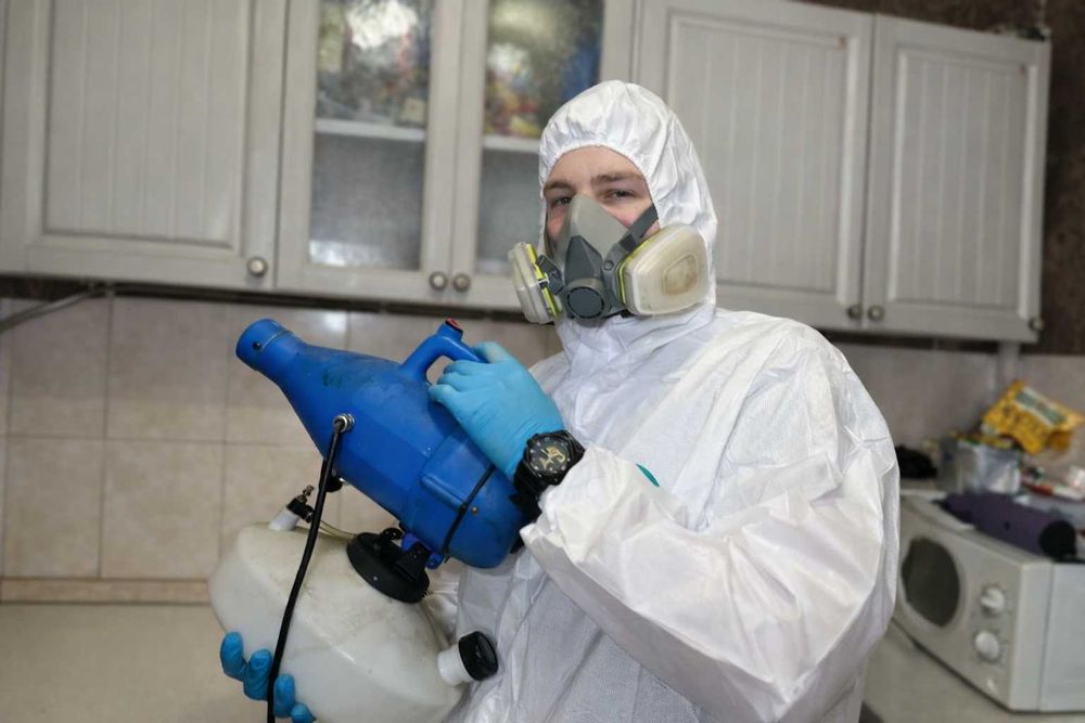 Обробка від тарганів клопів мишей | Дезінфекція квартири | Гарантія