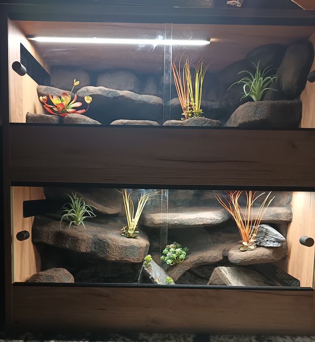 Terrarium 80x40x40