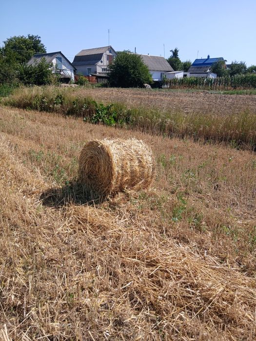 Продам тюки з соломи ,телефонуйте домовимося