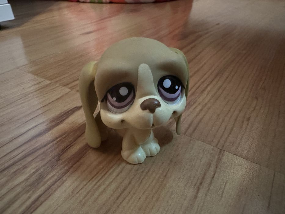 Littlest pet shop pies basset