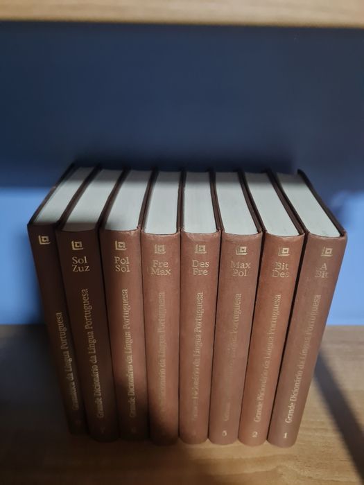 Conjunto 8 livros - Dicionários