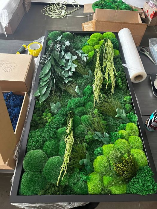 Картина из Мха. Декор из Мха