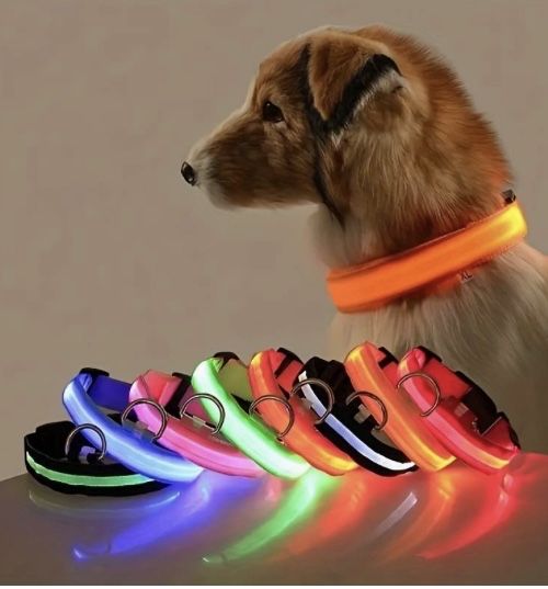 Coleira De Cão Led64751791617666123