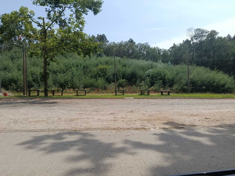 Vendo eucaliptal com cerca de 2300m2