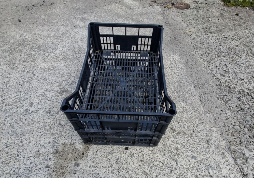 Skrzynki plastikowe 60 x 40 x 15. Ok 150 szt