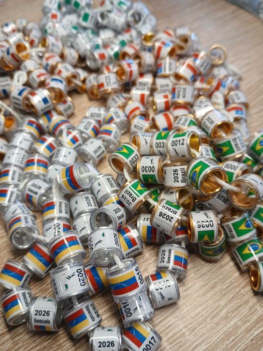 Obrączki dla gołębi pocztowych 2026