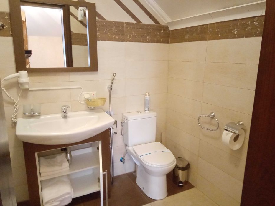 аренда дома посуточно