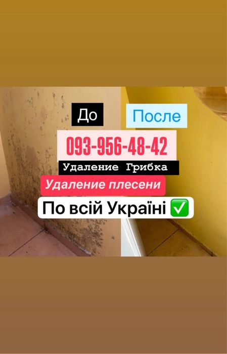 Удаление грибка , устранение грибка ! Удаление плесени с гарантией