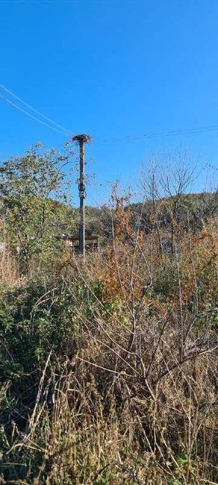 Продажа участка 20 соток Погребы Васильков Заречье без комиссии