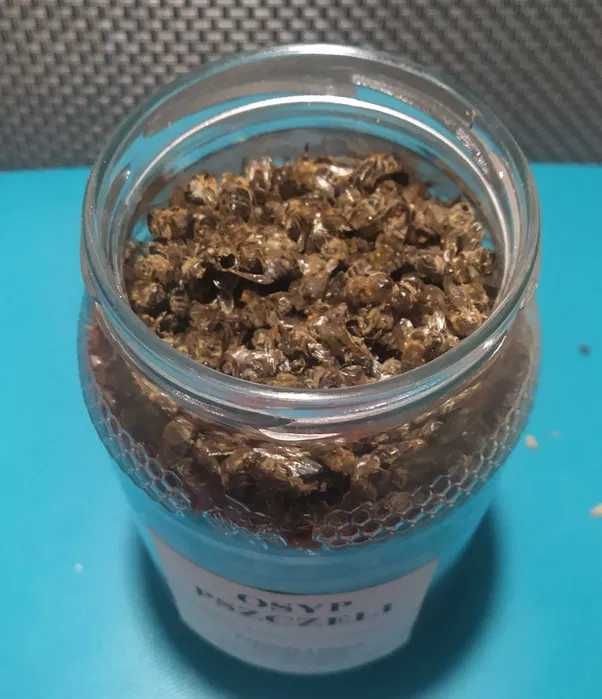 Ekstrakt osypu pszczelego 100 ml
