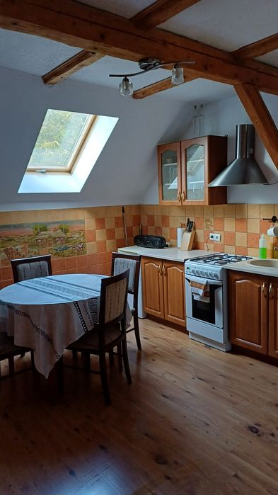 Mieszkanie – Dąbrowica - Widok 2