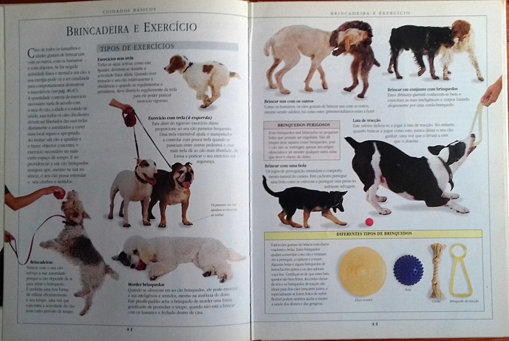 Dr Bruce Fogle. Manual de Tratamento de Cães. Ilustrado. Inclui portes