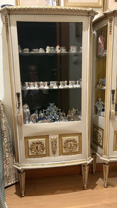 Vendo vitrine (2)